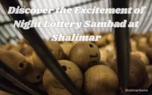 night lottery sambad