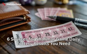 daily lottery results