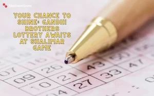 gandhi brothers lottery